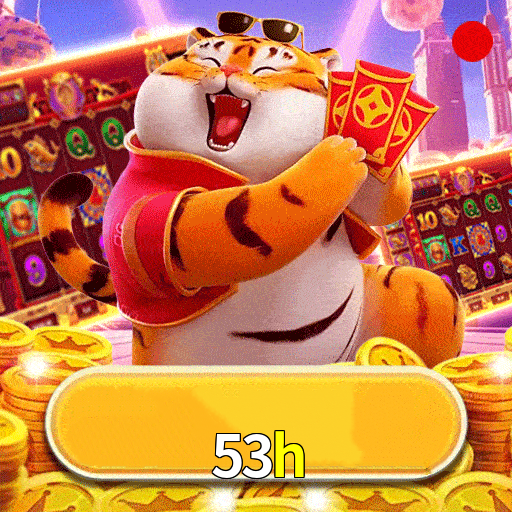 53h